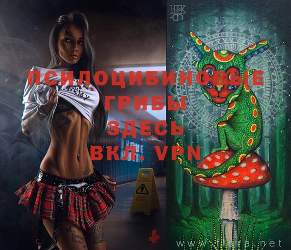 ешки Няндома