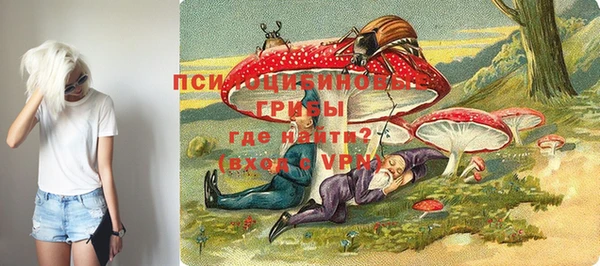 apvp Нягань