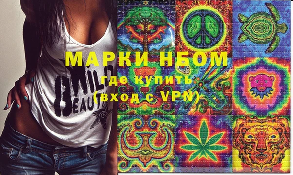ешки Няндома