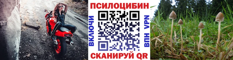 Галлюциногенные грибы MAGIC MUSHROOMS  закладка  Калининград 